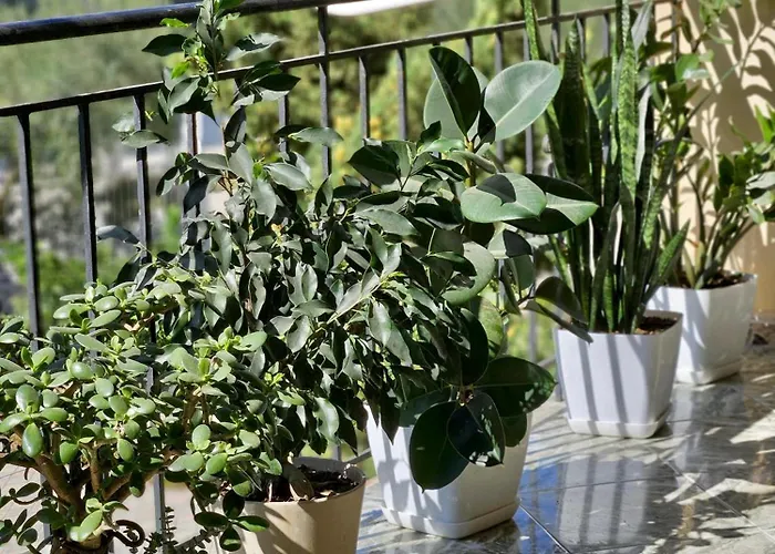 Pensión Seaside Bliss 2