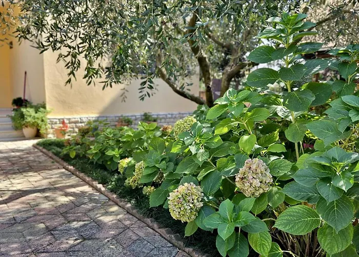 Seaside Bliss 2 * Golem (Tirana)