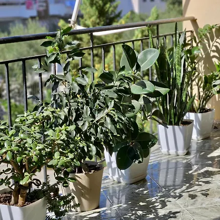 Affittacamere Seaside Bliss 2