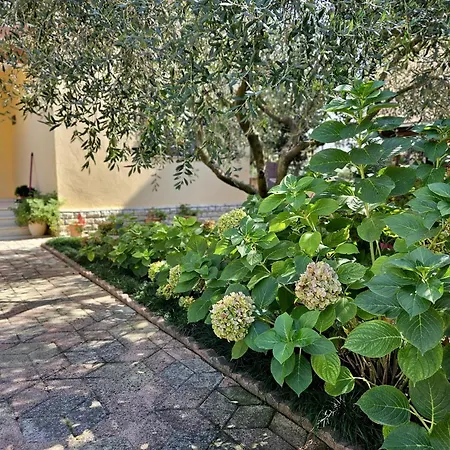 Seaside Bliss 2 * Golem (Tirana)